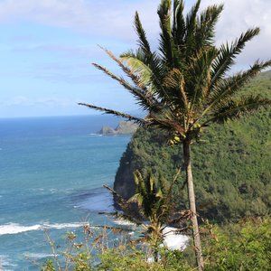 Meet your Posher, Noah